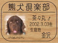 ���I�[�i�[�́A�ă}�}����ł���